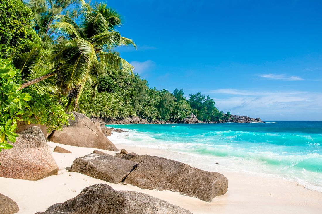 Tropical paradise beach with palm trees and turquoise water