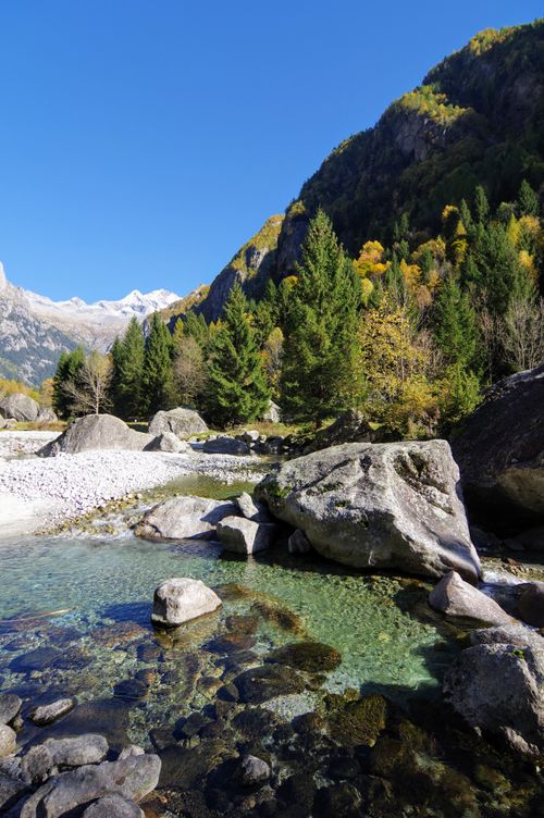 Free Clear stream flows through a picturesque mountain valley with vibrant autumn foliage. Stock Photo