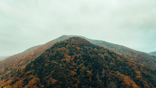 Stunning aerial shot of forest-covered mountains in Eskişehir, capturing autumn hues.