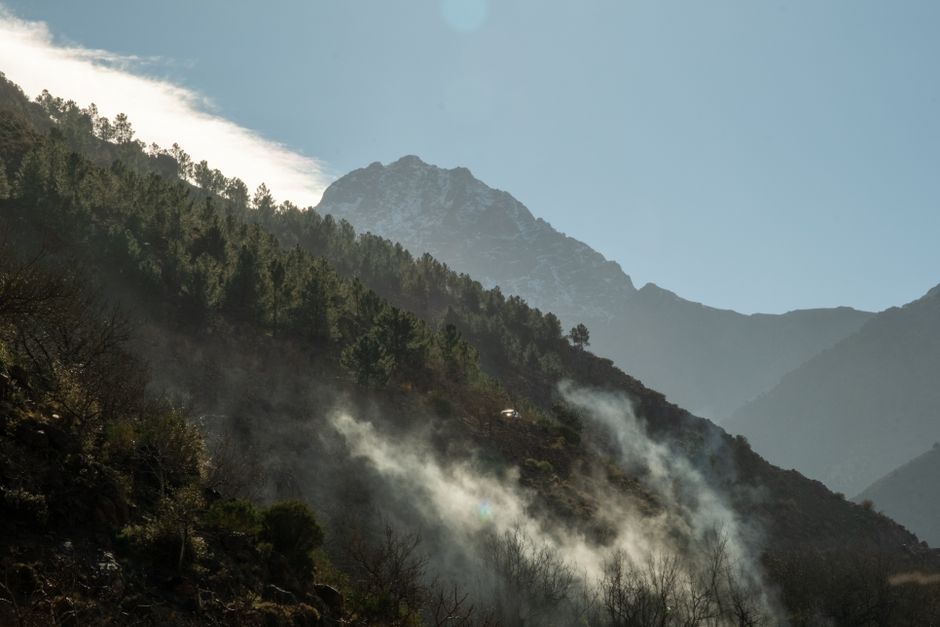 Scenic view of misty mountains and forest in Marrakesh under a clear sky.