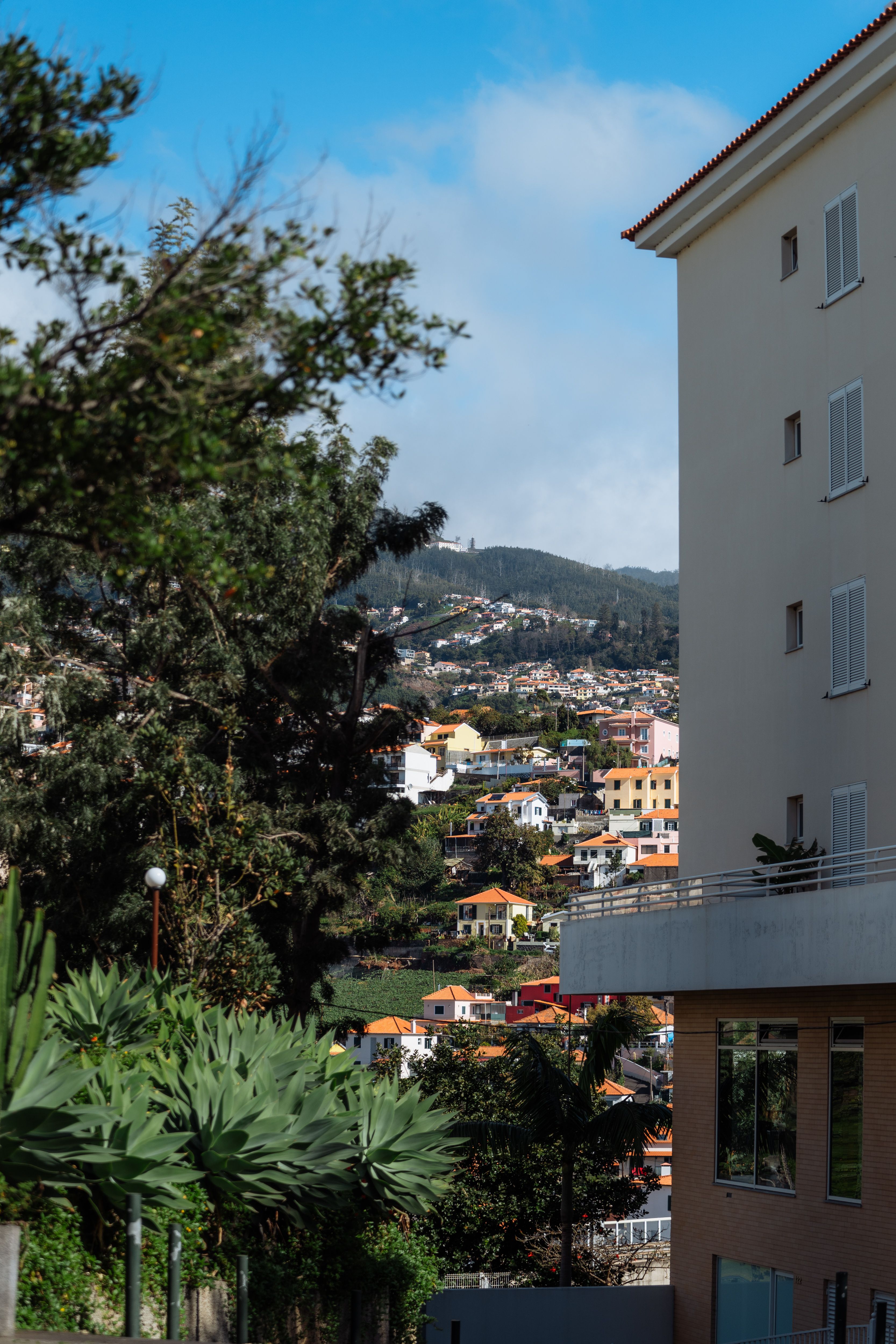 Junta de Freguesia de Machico schließt Sommer-ATL, das 180 Kinder unterstützte
