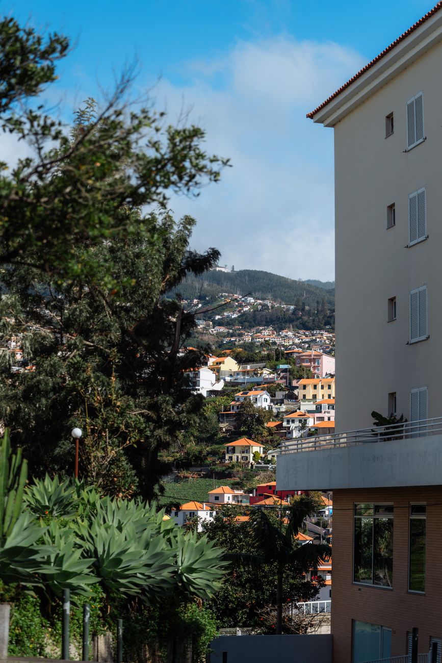 La Junta de Freguesia di Machico chiude l'ATL estivo che ha sostenuto 180 bambini