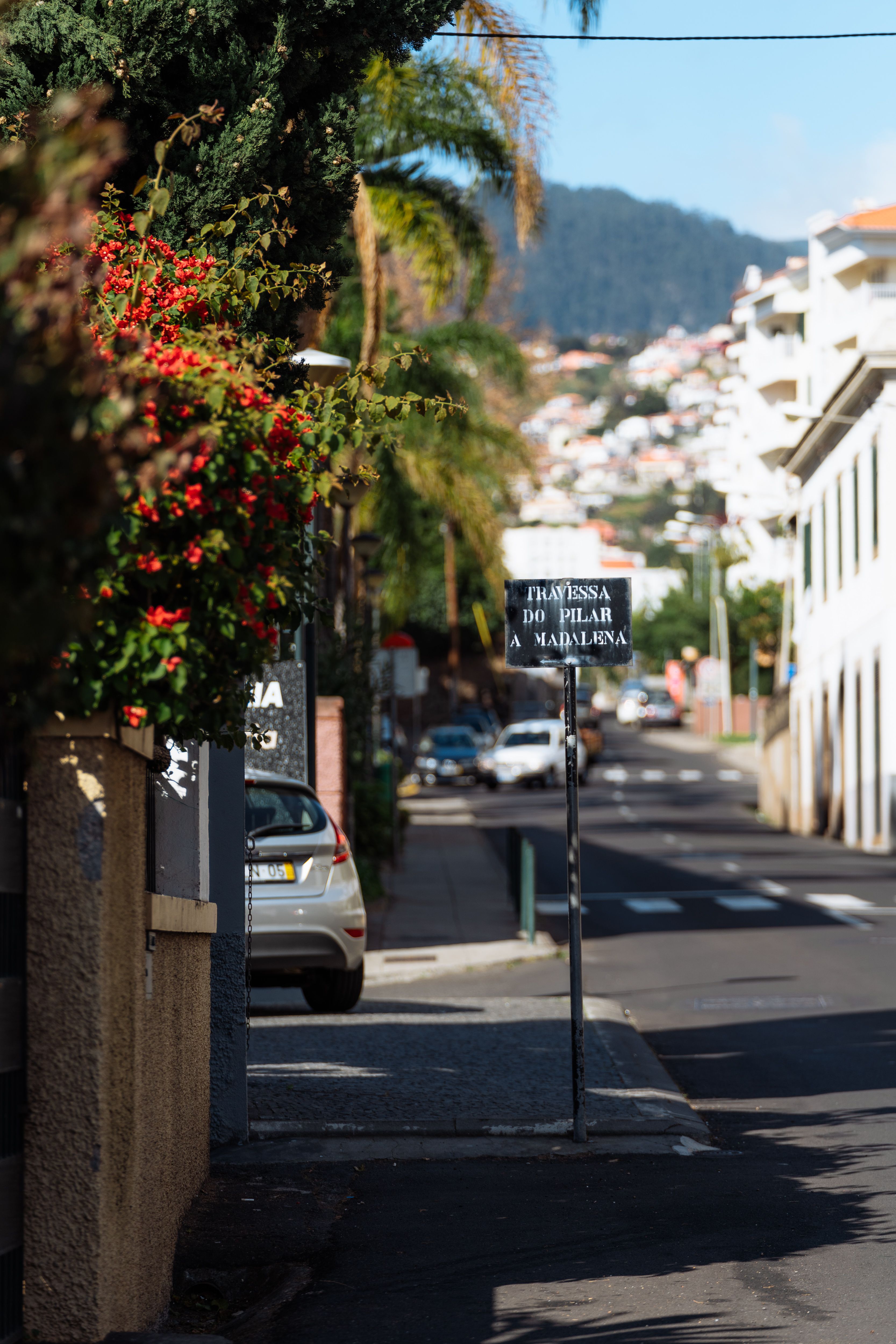 Ordem dos Psicólogos da Madeira organisiert Gesprächsrunde über Berufsherausforderungen