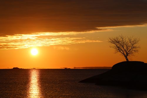Free Beautiful sunrise over Cove Island Park with dramatic orange and yellow hues. Stock Photo