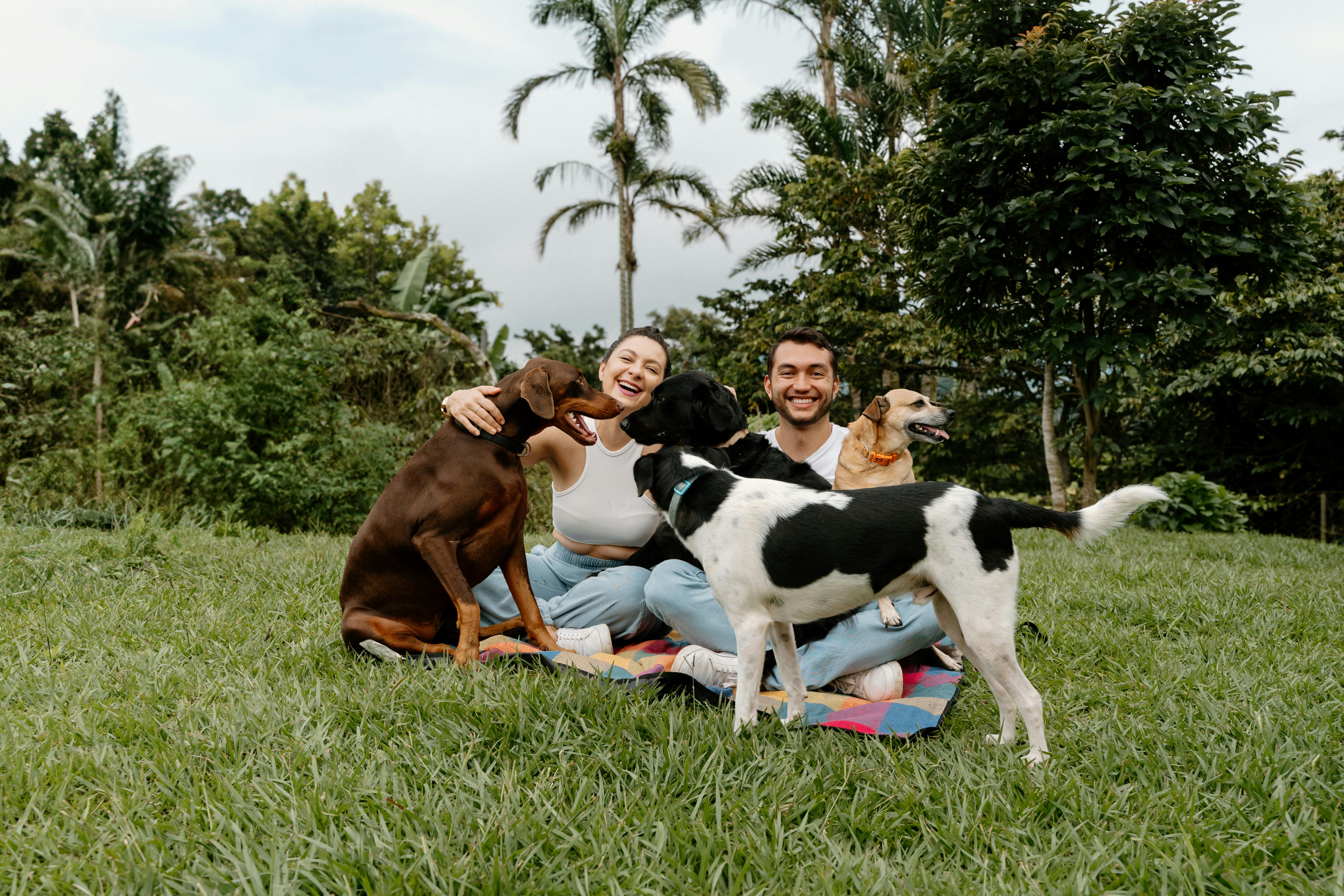 joyful picnic with dogs in costa rica