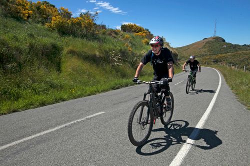 Free Two cyclists enjoying a sunny ride along a scenic mountain road surrounded by greenery. Stock Photo
