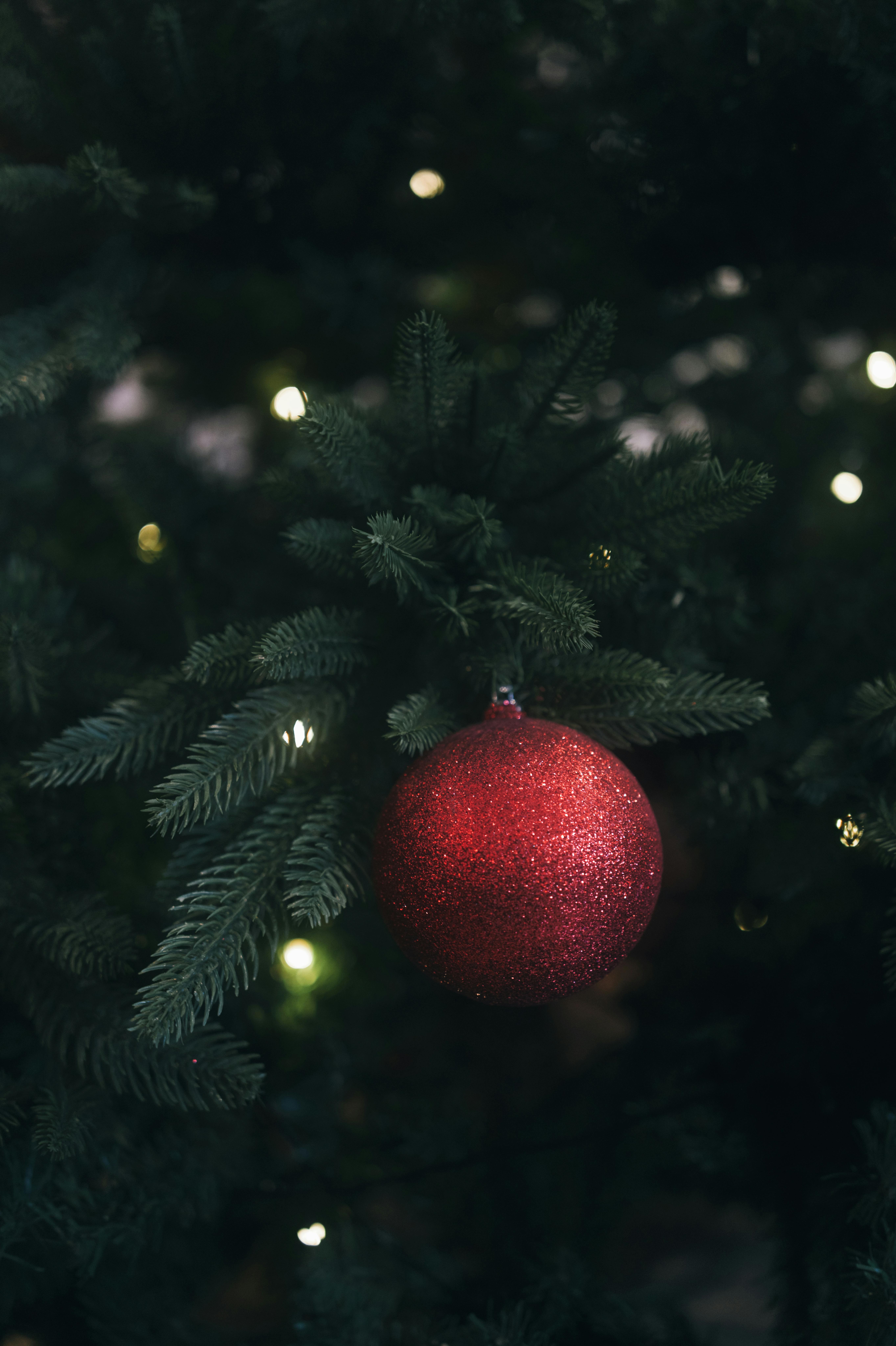 Close-up of a red Christmas ornament hanging on an evergreen tree with glowing lights.