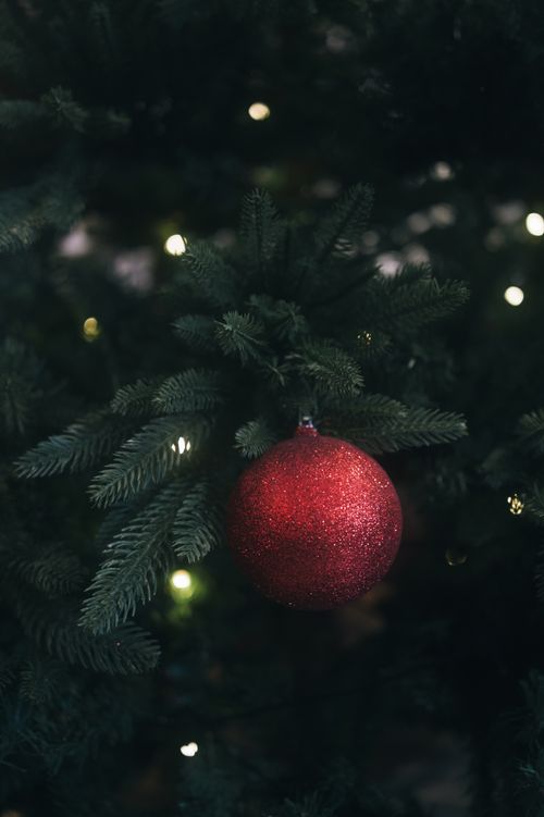 Free Close-up of a red Christmas ornament hanging on an evergreen tree with glowing lights. Stock Photo