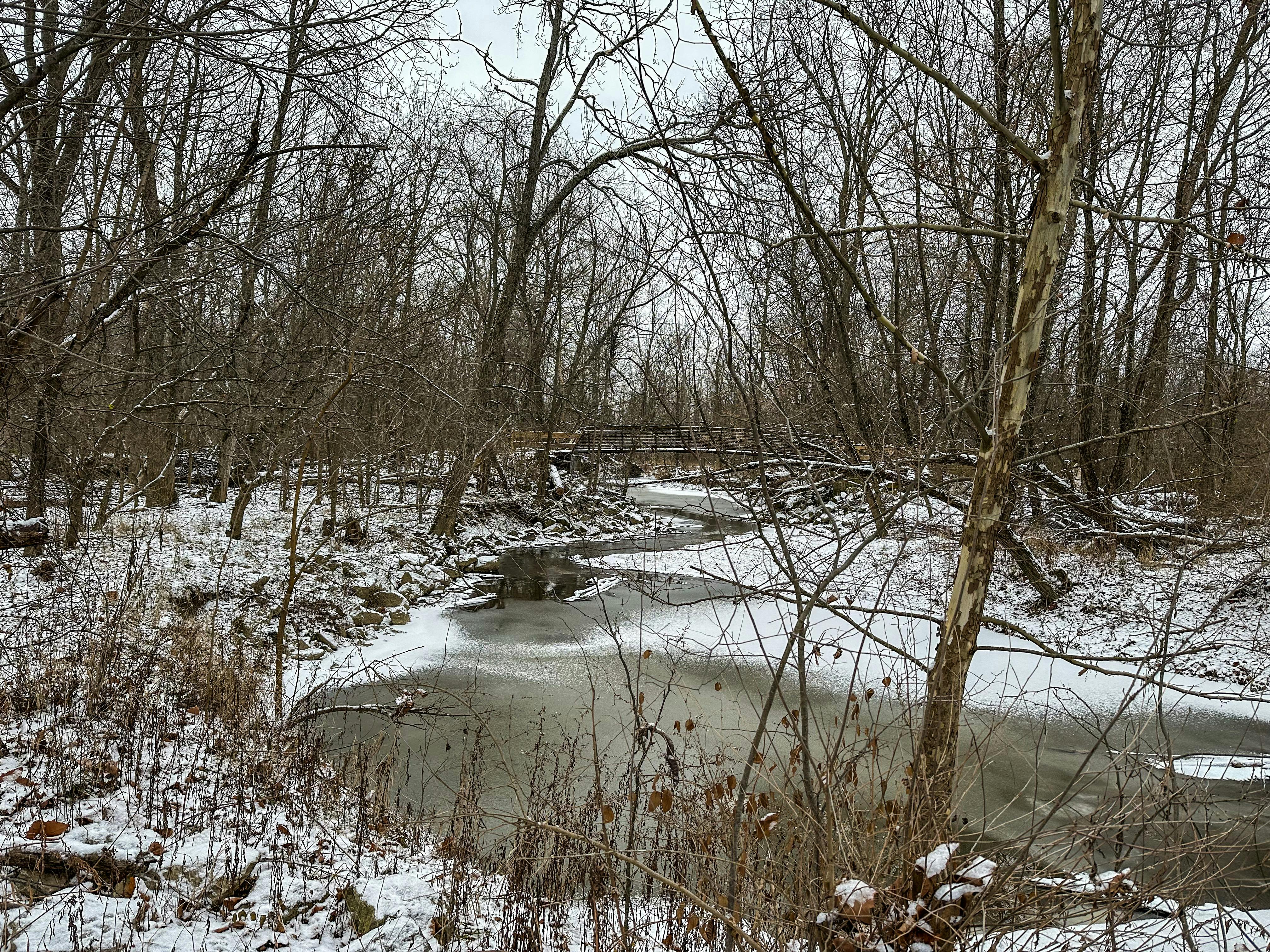 DuPage Forest Preserve executive director leaving for city manager job in Florida — Photo by Gabriel Lee on Pexels