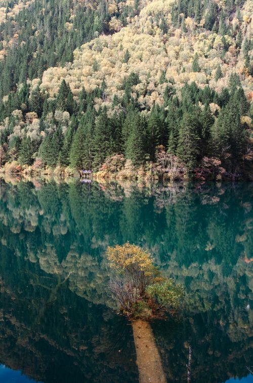 Free Serene lake reflecting autumn forest and mountains Stock Photo