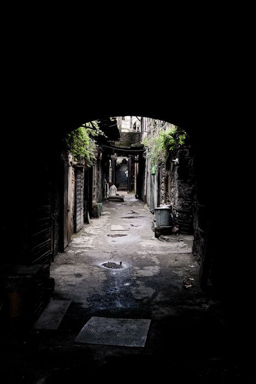 Free A moody, narrow alleyway with weathered walls, plants overhead, and shadowy atmosphere. Stock Photo
