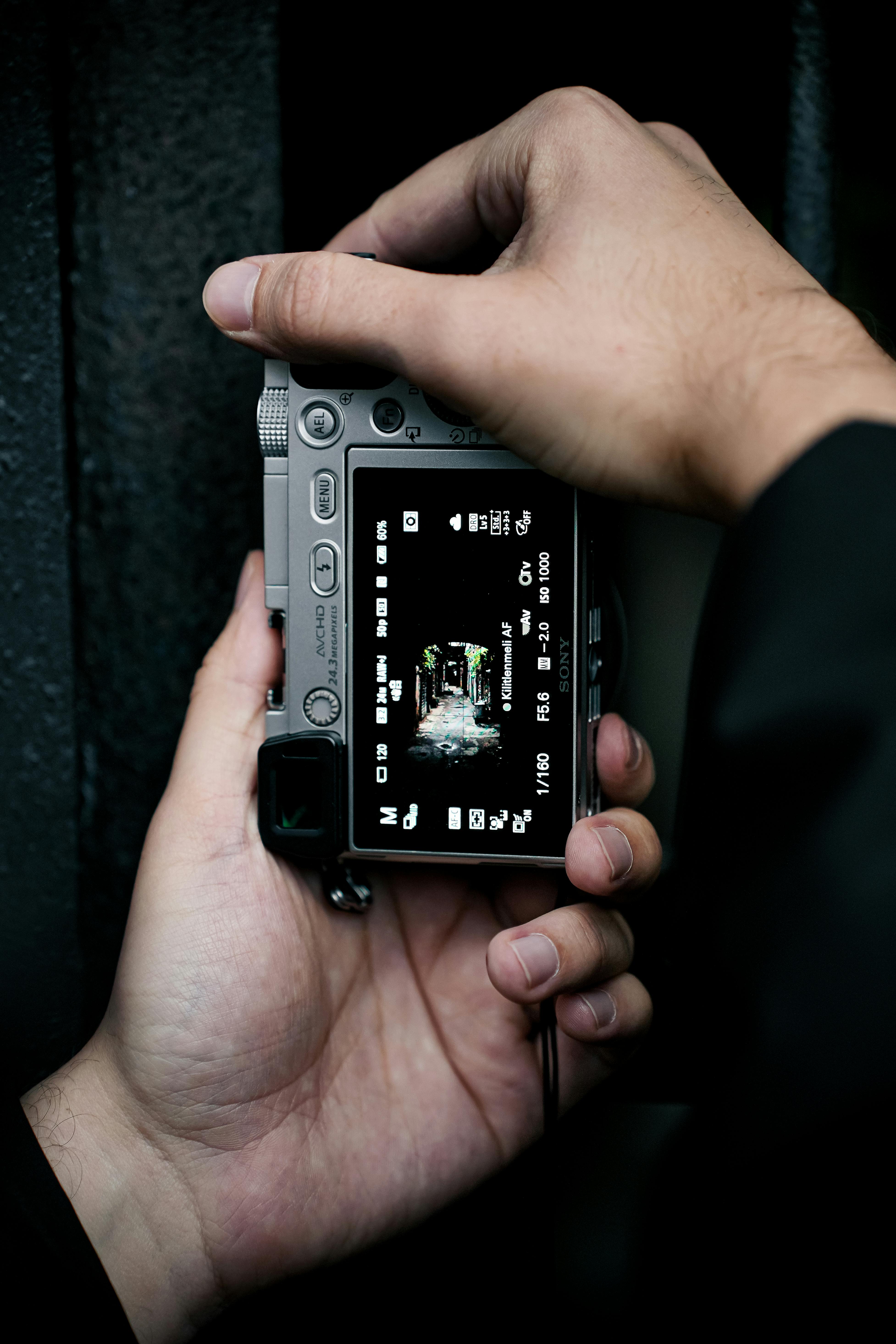 De franc Foto d'estoc gratuïta de afició, artístic, caça Foto d'estoc