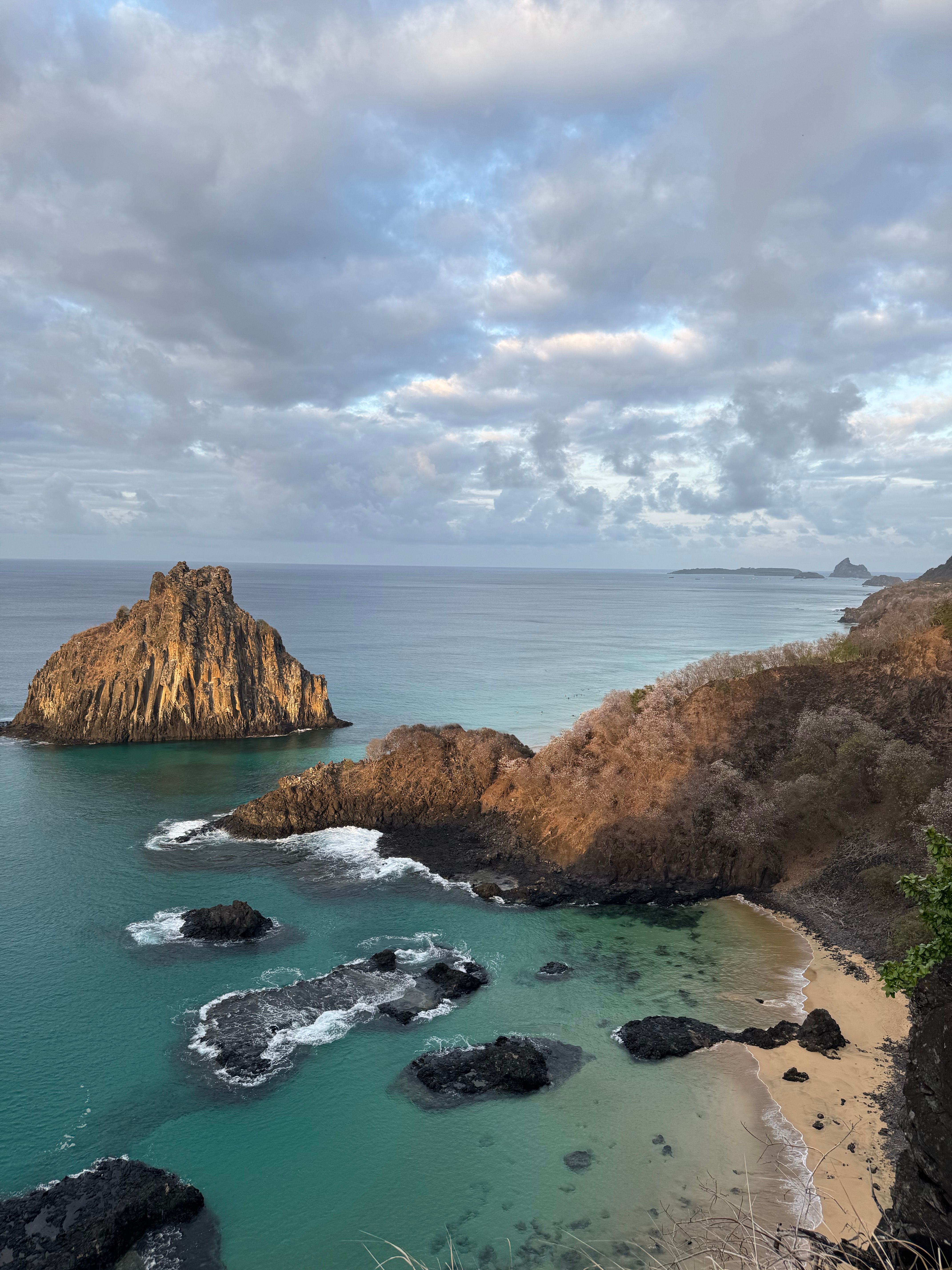 Dolphin Bay