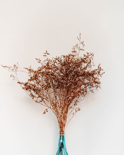 A minimalist dried floral arrangement displayed in a vibrant blue vase against a light background.