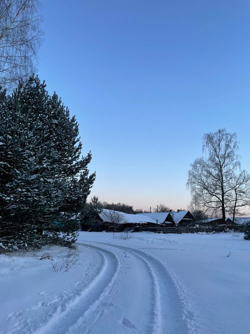 Free A tranquil winter scene depicting a snow-covered village road surrounded by trees at dusk in Belarus. Stock Photo