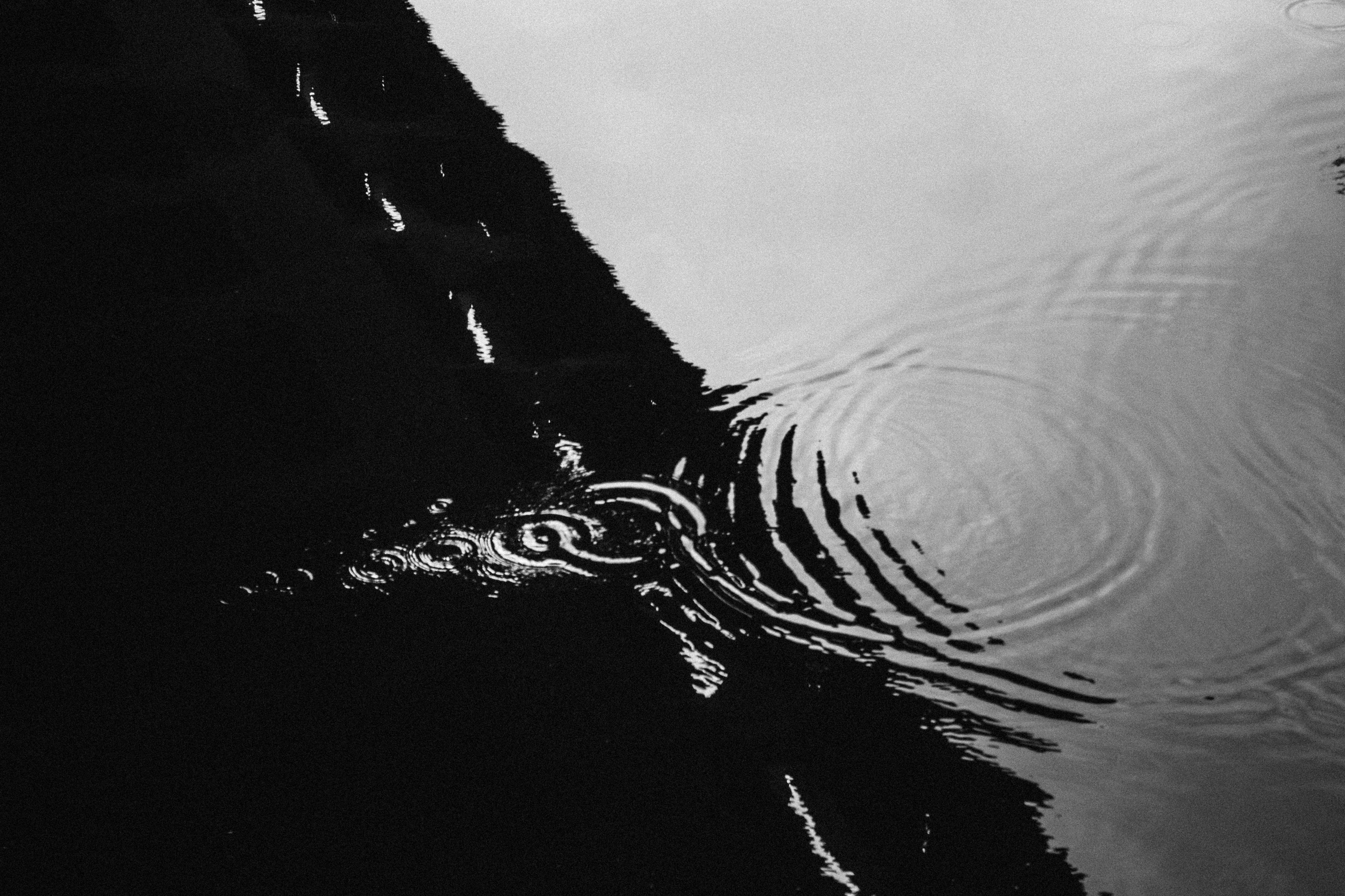 Abstract Black and White Water Ripples Reflection · Free Stock Photo