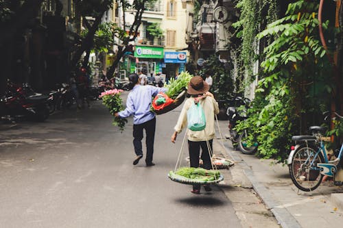 Person Carrying Vegetables