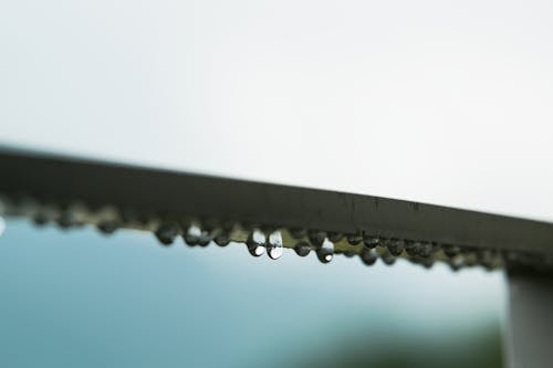 Free stock photo of drops, gray, grey