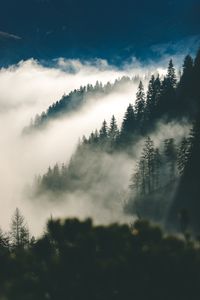 Mist over a forested ridge — photo by Moritz Feldmann on Pexels