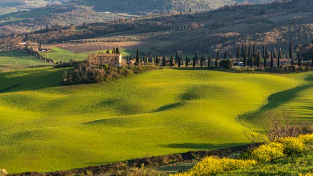 Capture the serene landscape of Tuscany's rolling hills in spring, featuring lush greenery.