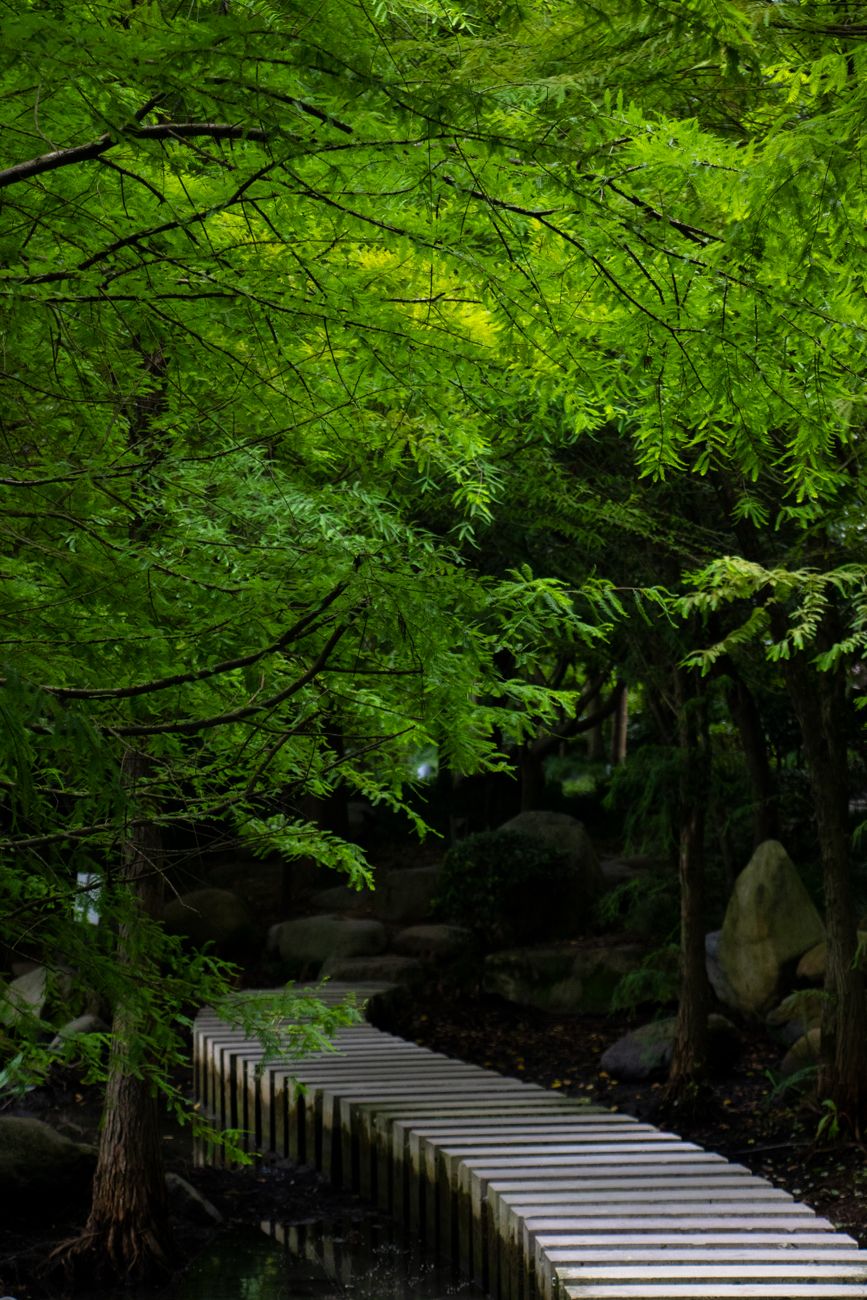 東京の庭園を楽しむおすすめの季節