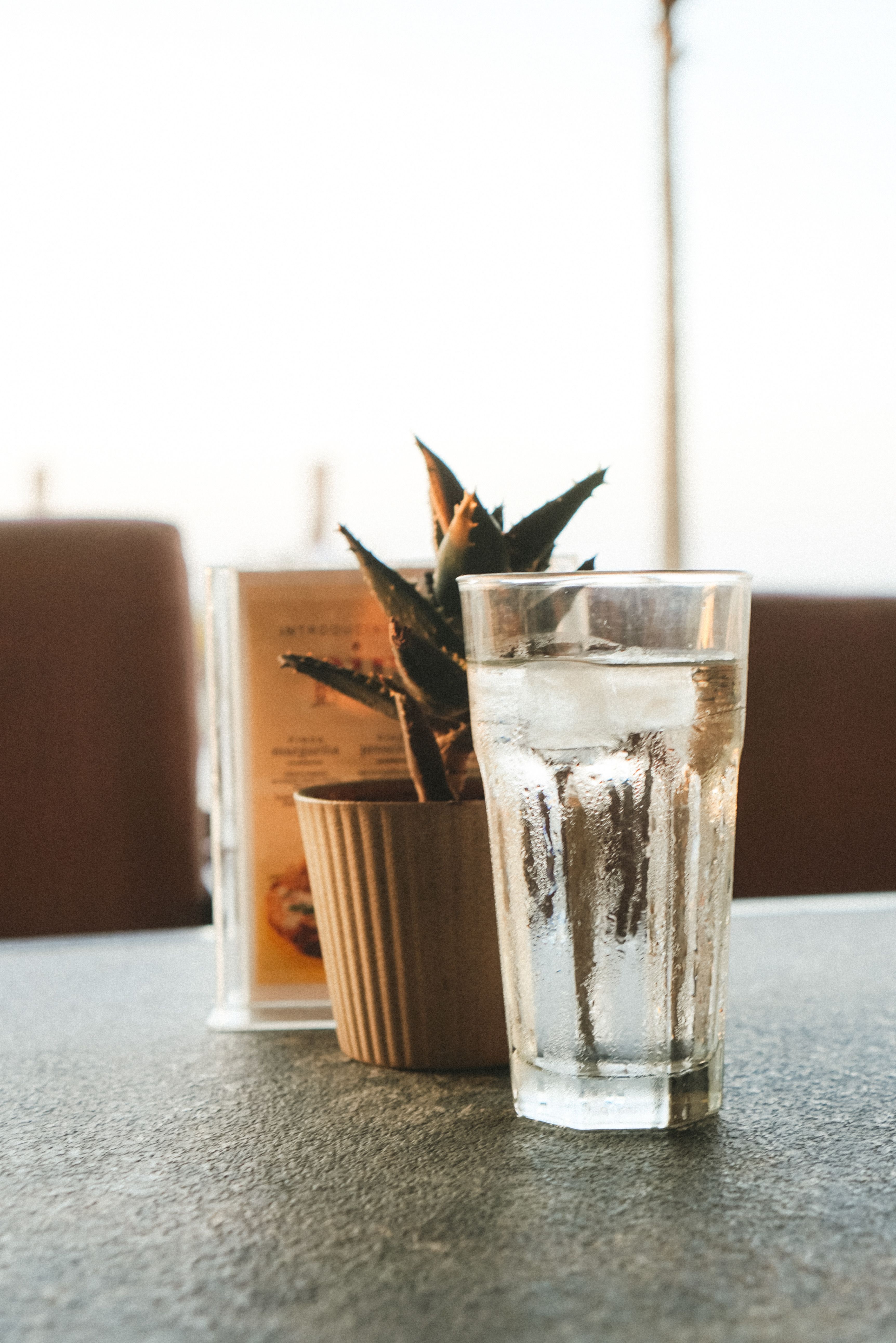 Glass of warm carom seeds water highlighting the benefits of ajwain water at night.