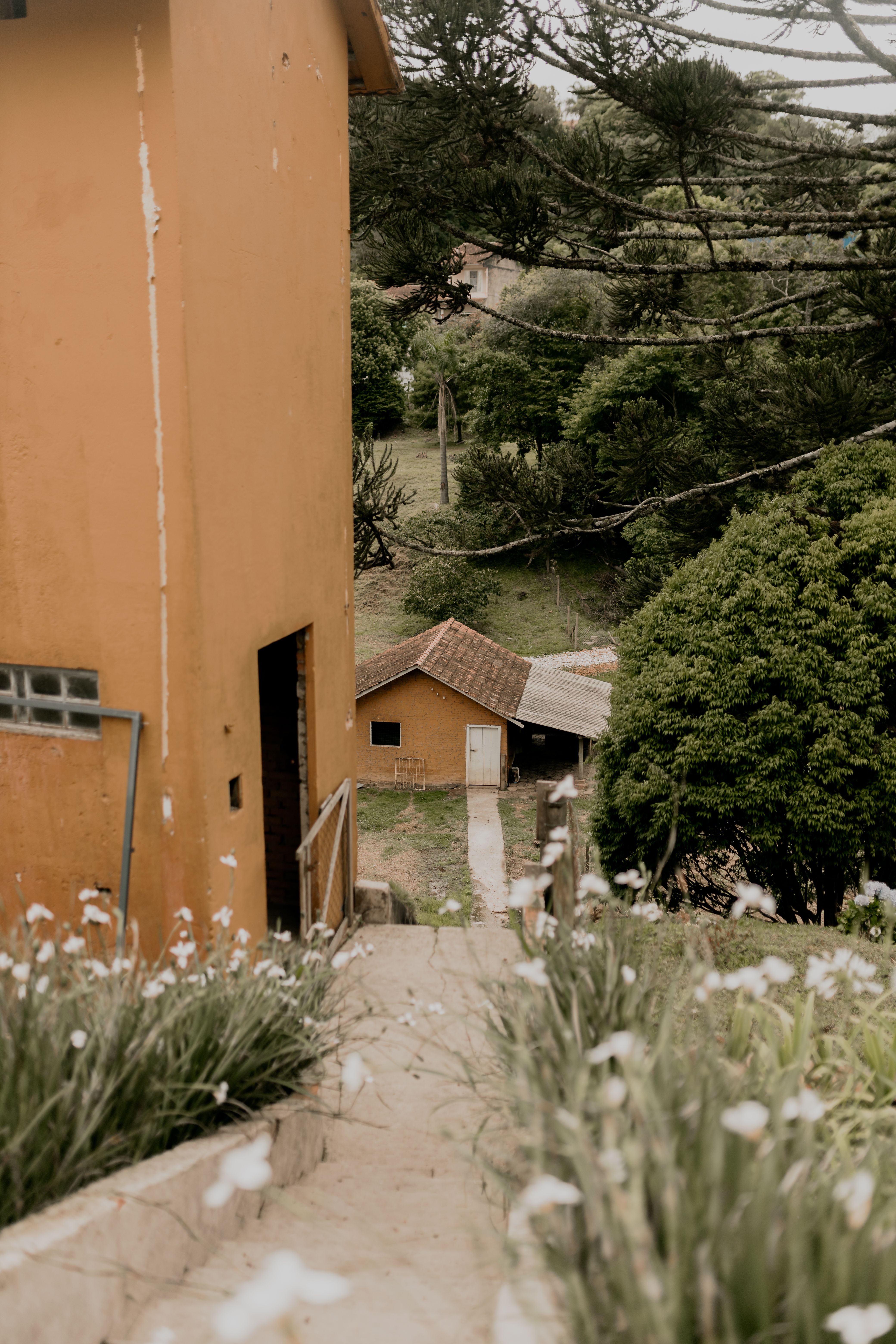 Rustic Path Leading to Countryside Lodge · Free Stock Photo