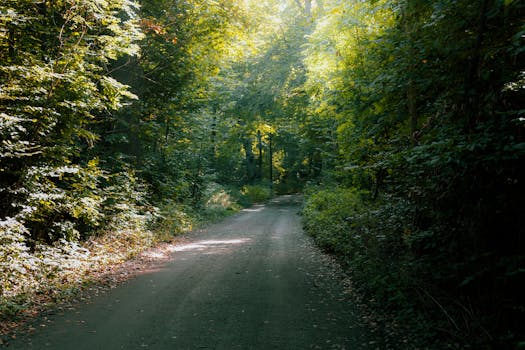 Image by Henrik Tuvesson