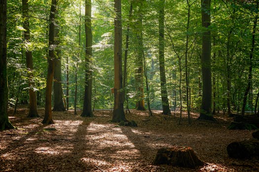 Image by Henrik Tuvesson