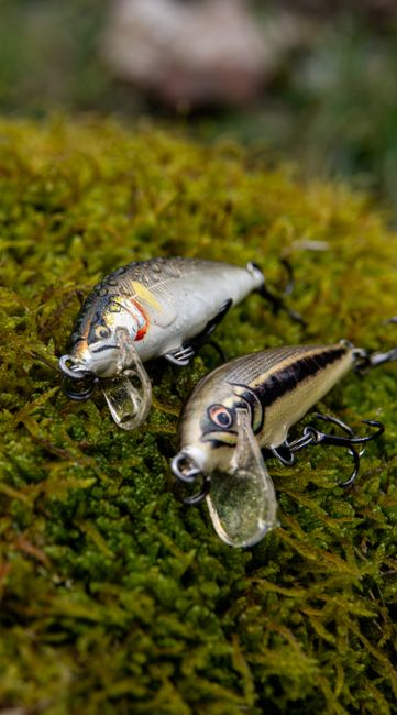 Fotomural Primer plano detallado de dos señuelos de pesca sobre una superficie exuberante cubierta de musgo.