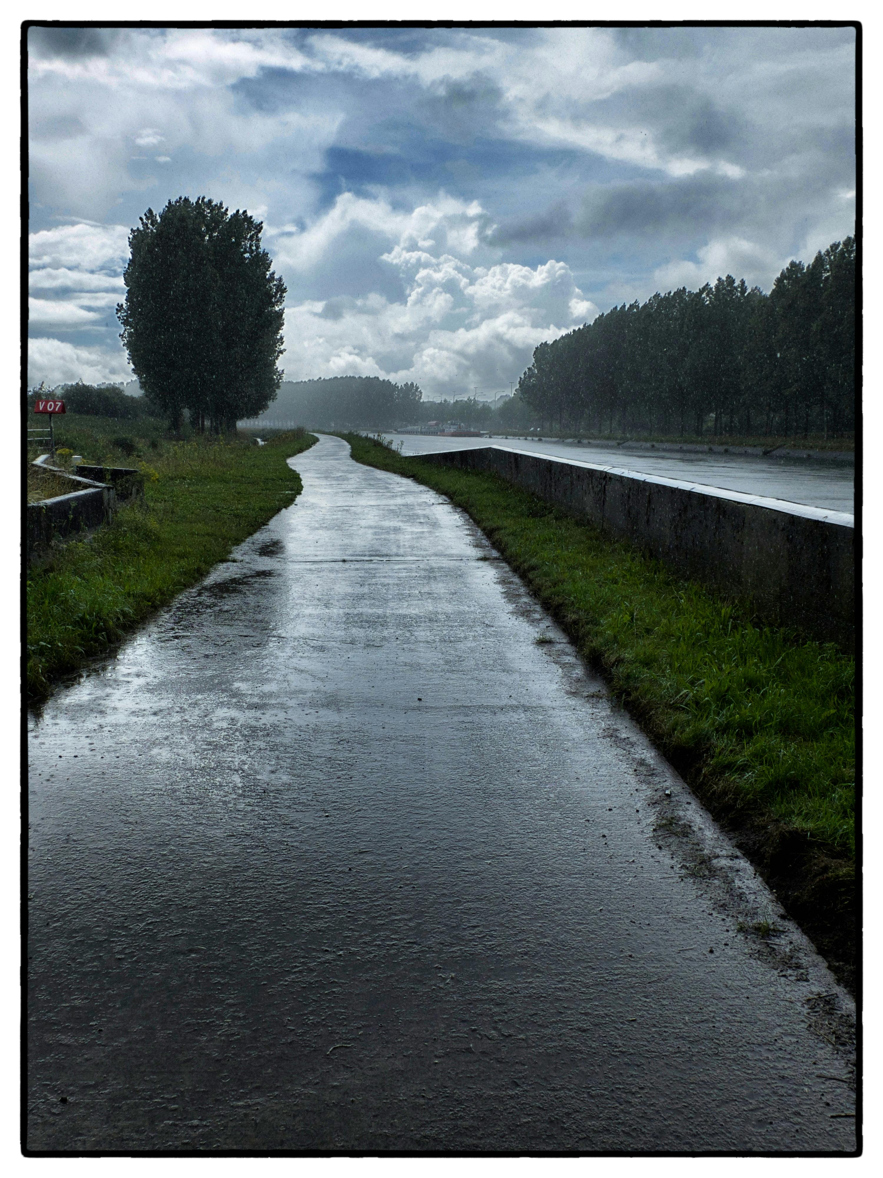 Free stock photo of rain Stock Photo