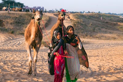 Women Camel Toes Photos, Download The BEST Free Women Camel Toes Stock