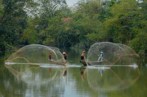Free Fishermen casting nets on a serene river in Huế, Vietnam, surrounded by lush greenery. Stock Photo