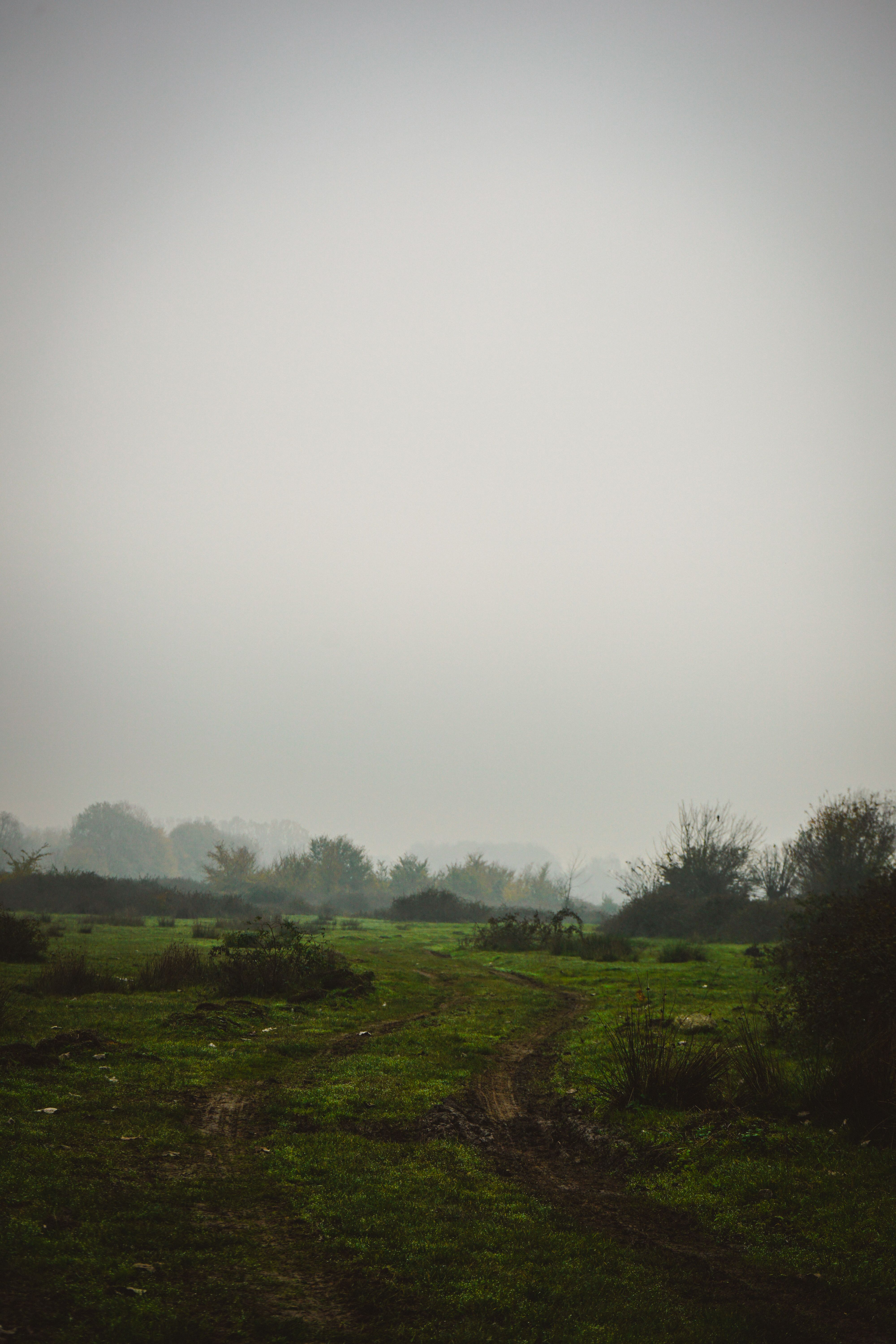 Misty Rural Pathway in Lush Green Landscape · Free Stock Photo