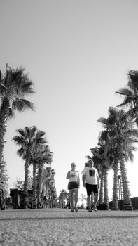 Black and white image of two adults walking on a palm tree-lined path.