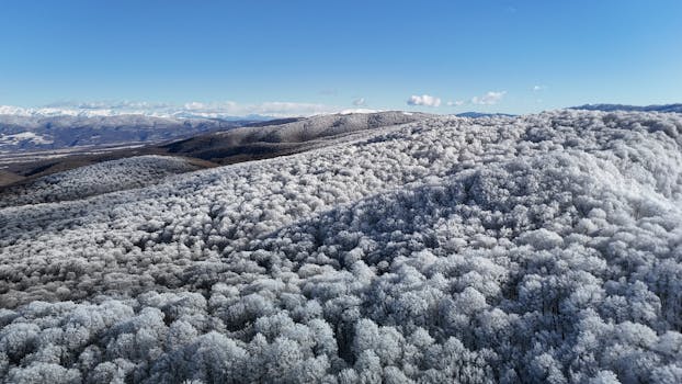 Stunning aerial photo of a snow-covered forest in winter mountains, showcasing serene natural beauty.