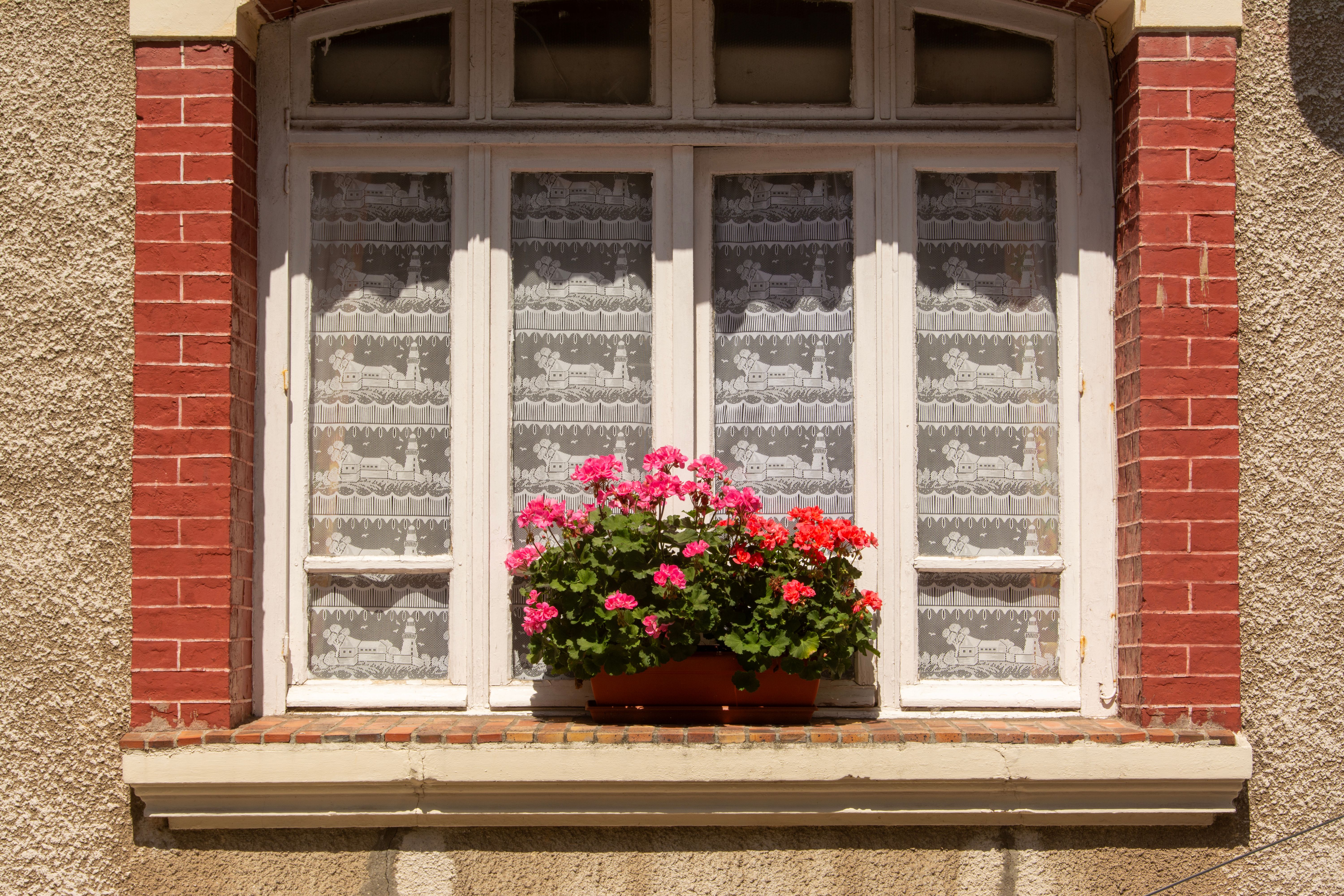 A vintage window adorned with colorful geraniums in a sunny outdoor setting.