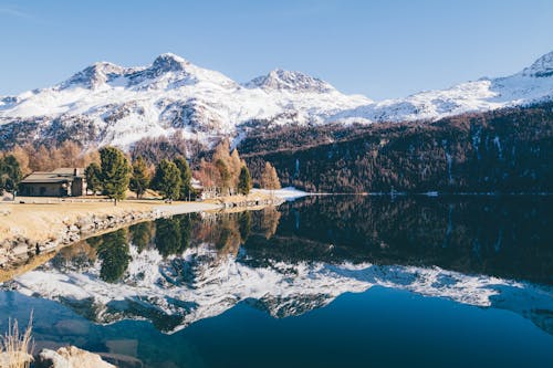 Calmo Specchio D'acqua Accanto Agli Alberi