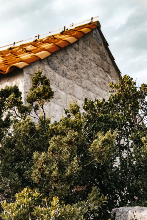 Free Charming stone house with an orange tiled roof surrounded by lush Mediterranean greenery on Lopud Island. Stock Photo