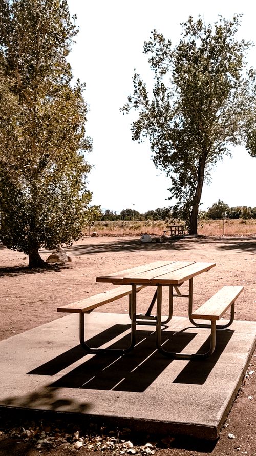 Free A sunlit picnic table in a quiet, tree-lined park, perfect for outdoor relaxation. Stock Photo