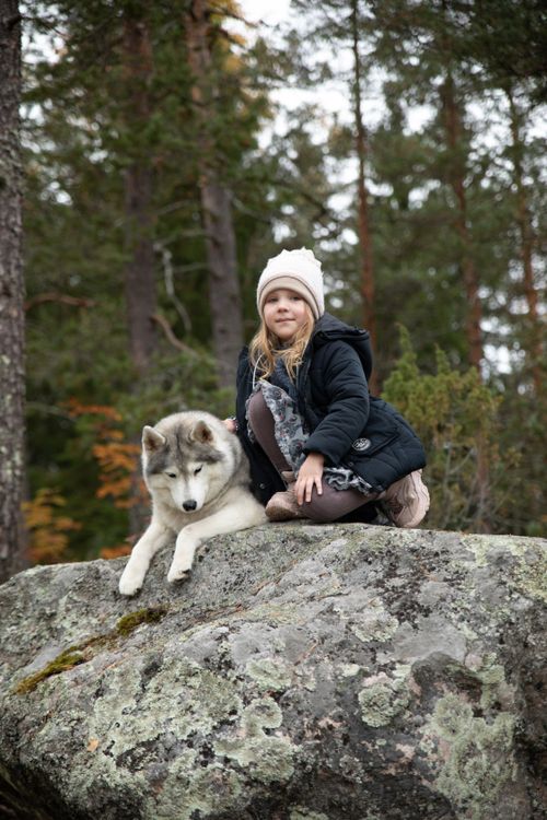 Free Young girl and husky dog sit on a rock in a lush forest. Stock Photo