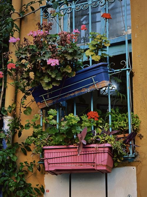Free Charming window with colorful flower boxes on a rustic yellow wall. Stock Photo