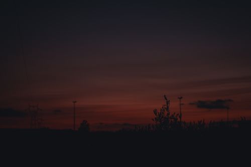 Free sunset  Stock Photo