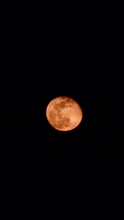 Free blood moon Stock Photo