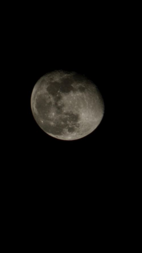 Free moon  Stock Photo