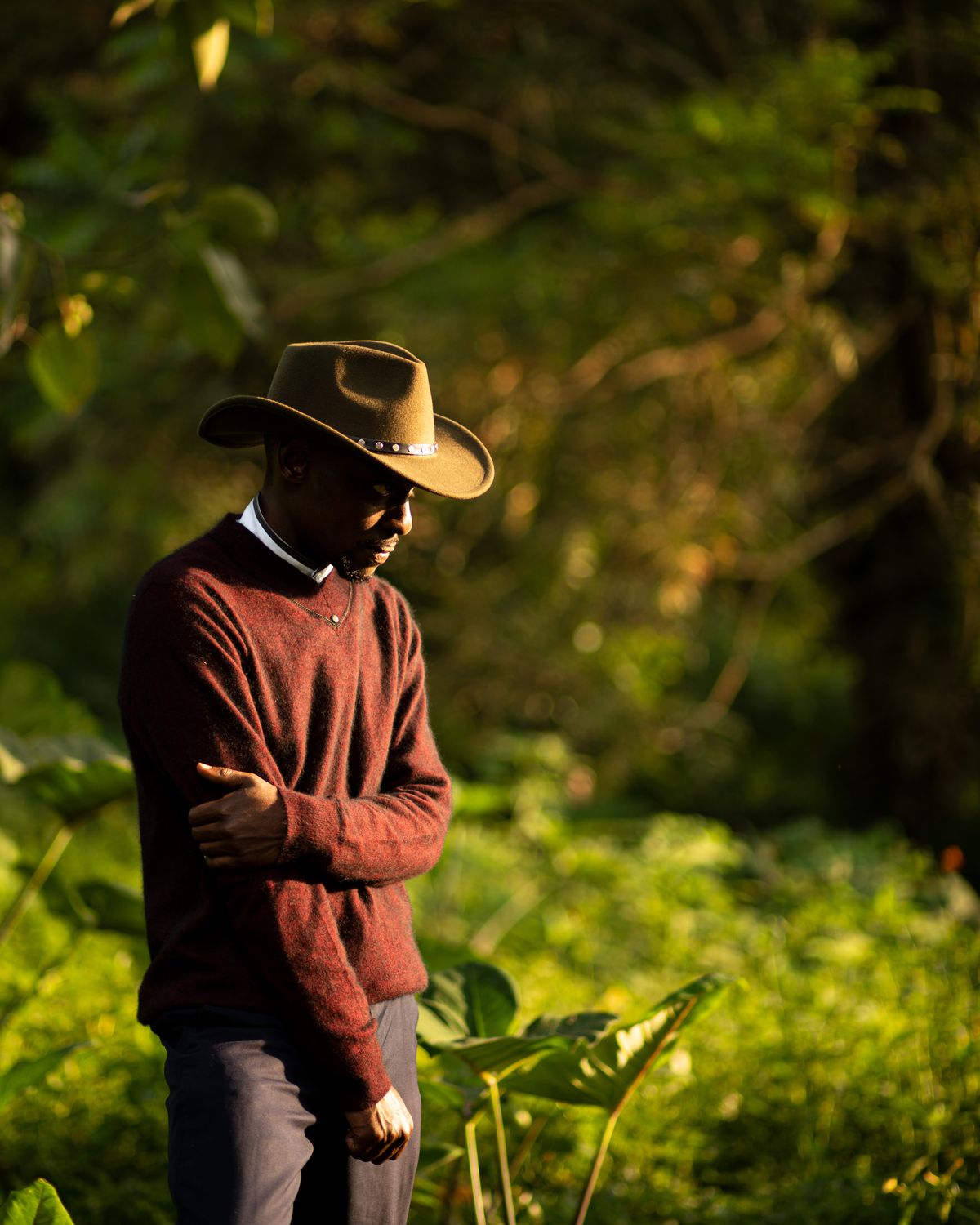 Hombre Contemplativo Con Sombrero En Medio De Una Exuberante Vegetación ...