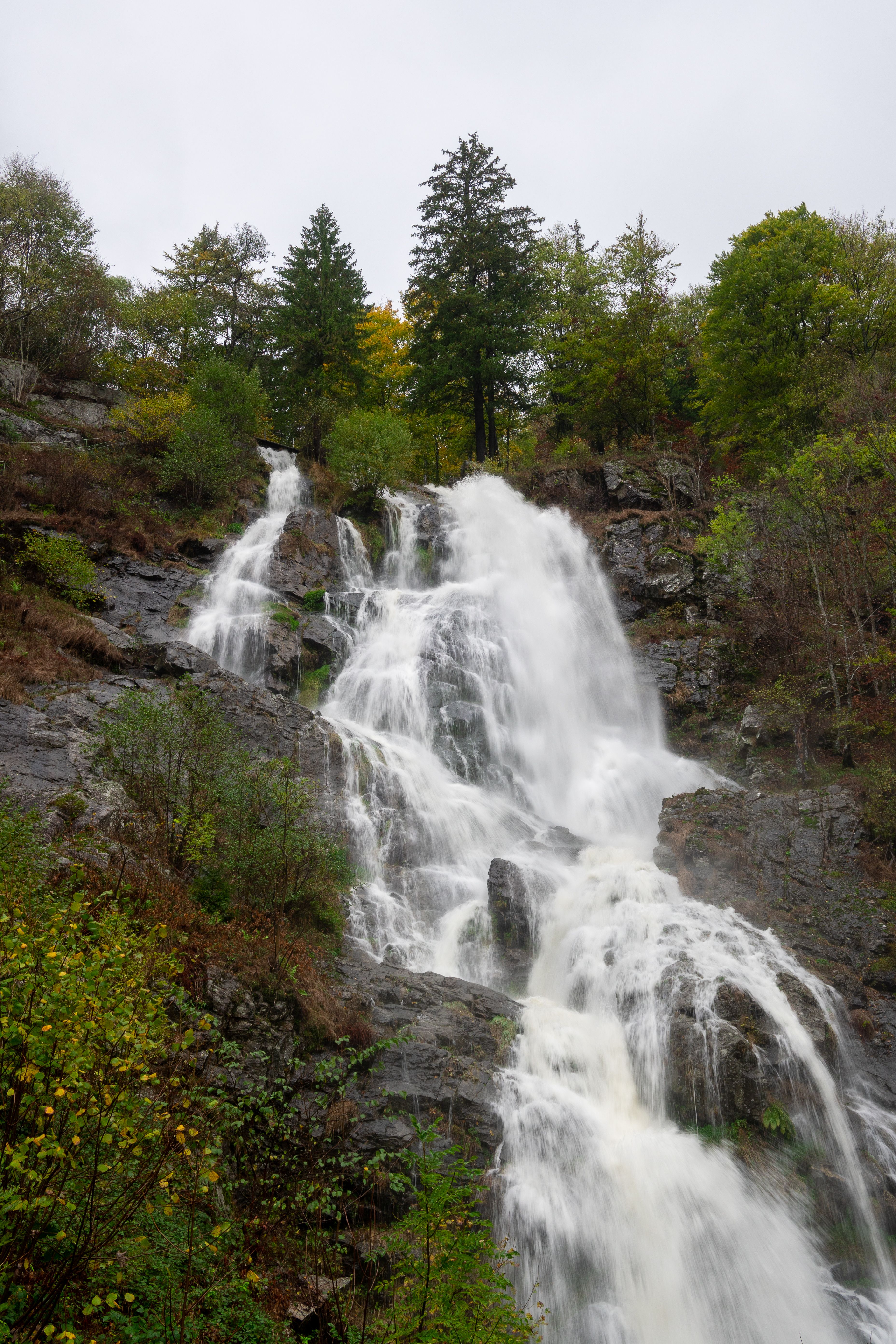Scenic waterfall cascading through lush forest · Free Stock Photo
