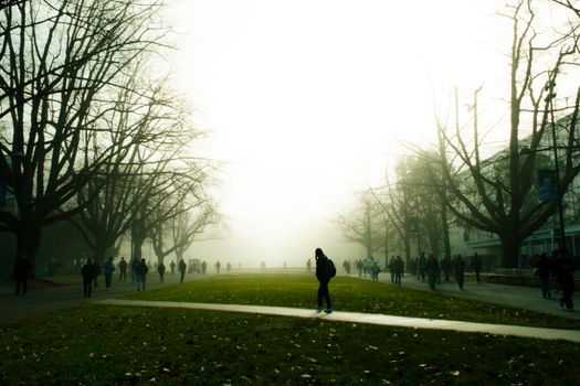 Ottawa Sees Sunny Skies Today, Frost Risk Overnight