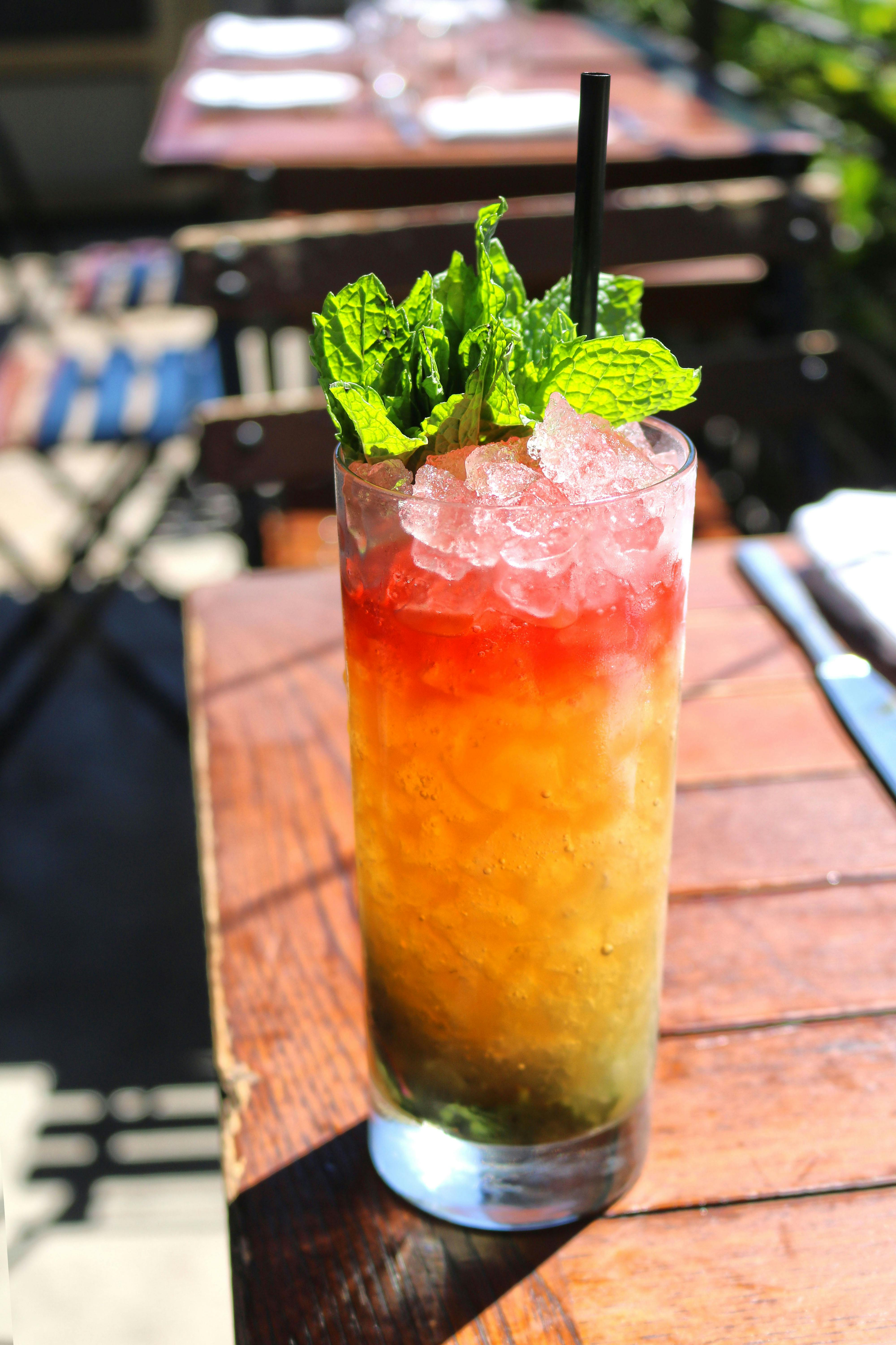 mint container sunny patio UK garden