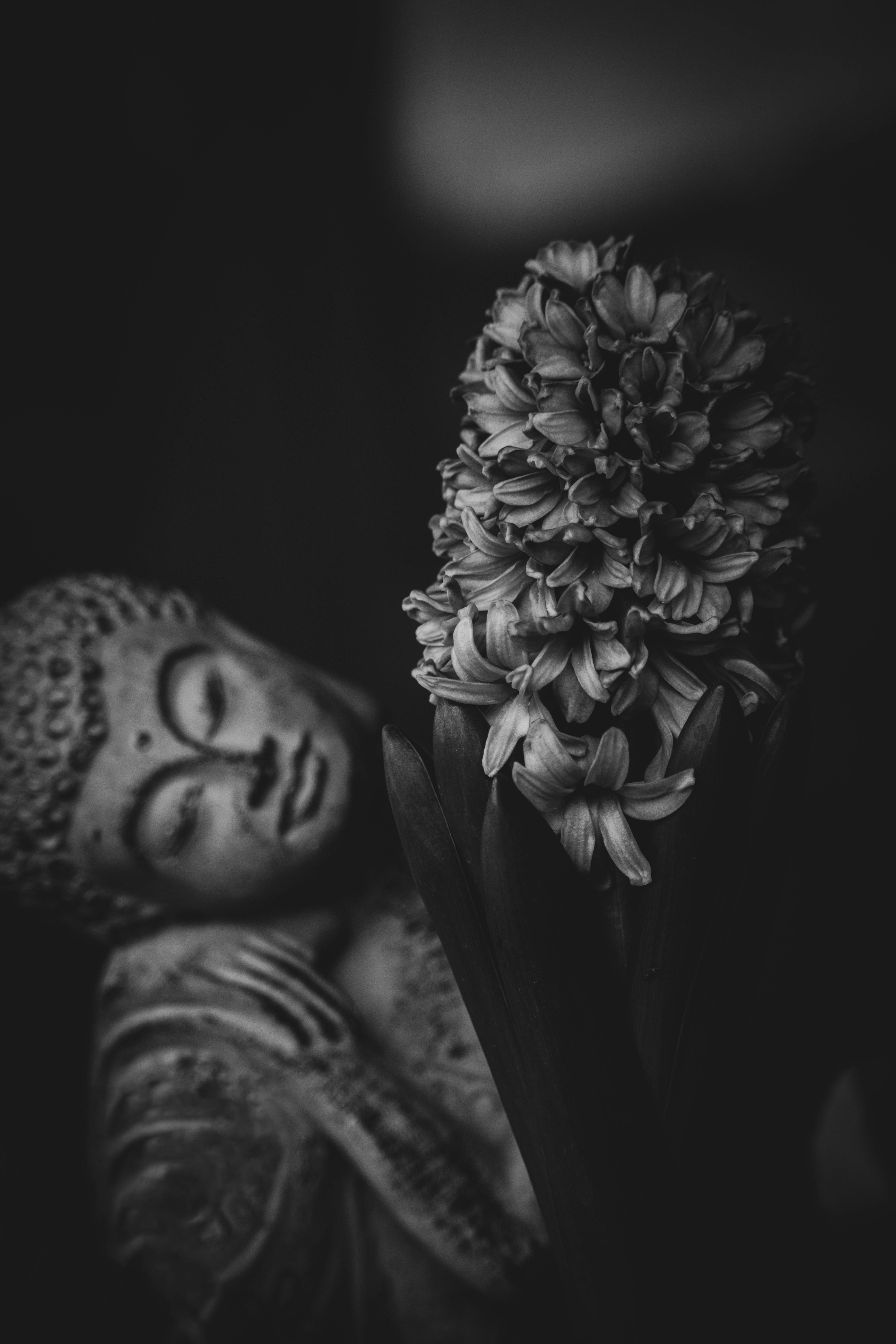 A tranquil Buddha statue beside a blooming hyacinth flower, captured in moody black and white tones.